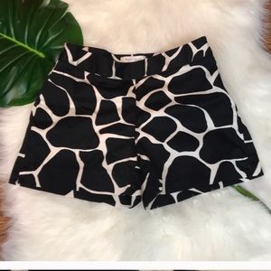 WHBM Size 2 Giraffe Print Shorts- Great for Summer